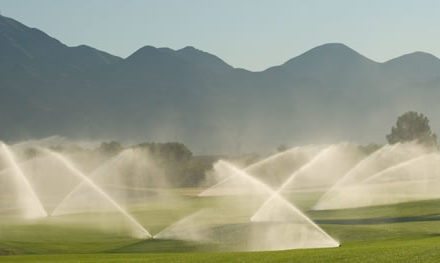 Manejo del recurso “agua” en los campos de golf
