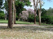 La Lagunita cuenta los días para el Sudamericano Juvenil de Golf por equipos