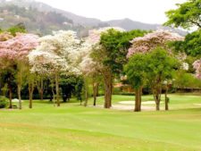 La Lagunita cuenta los días para el Sudamericano Juvenil de Golf por equipos