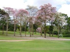 La Lagunita cuenta los días para el Sudamericano Juvenil de Golf por equipos