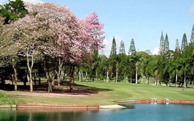 La Lagunita cuenta los días para el Sudamericano Juvenil de Golf por equipos