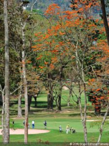 Venezuela favorito para ganar Sudamericano Juvenil de Golf