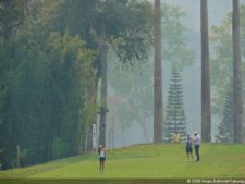 Venezuela favorito para ganar Sudamericano Juvenil de Golf