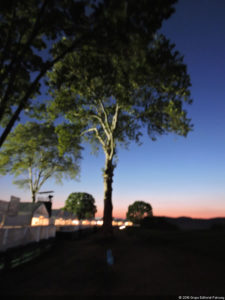 116º US Open selección domingo