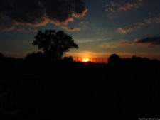 116º US Open selección domingo