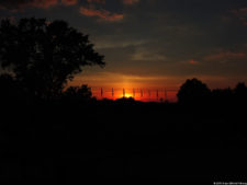 116º US Open selección domingo