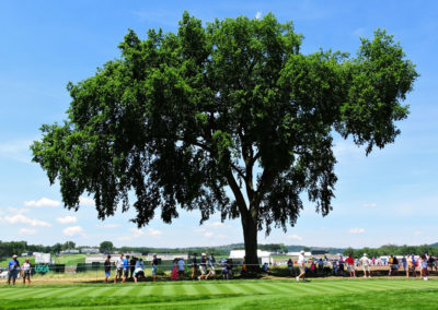 116º US Open selección sábado