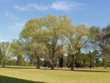 50º Torneo Abierto Jockey Club de Rosario (día 1)