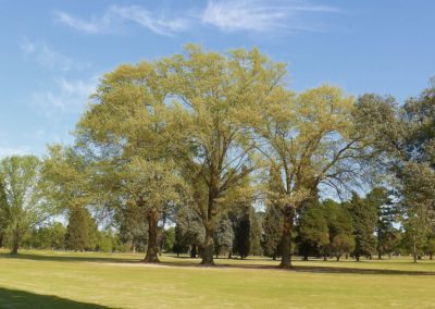 50º Torneo Abierto Jockey Club de Rosario (día 1)