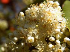 50º Torneo Abierto Jockey Club de Rosario (día 1)