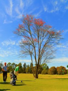 50º Torneo Abierto Jockey Club de Rosario (día 1)