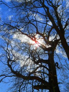 50º Torneo Abierto Jockey Club de Rosario (día 1)