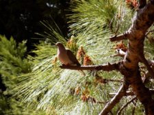 50º Torneo Abierto Jockey Club de Rosario (día 1)