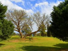 50º Torneo Abierto Jockey Club de Rosario (día 1)