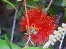 50º Torneo Abierto Jockey Club de Rosario (día 3)