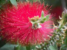 50º Torneo Abierto Jockey Club de Rosario (día 3)