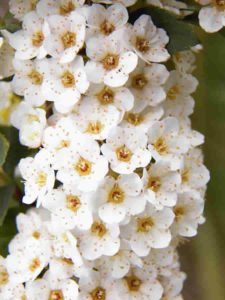 50º Torneo Abierto Jockey Club de Rosario (día 3)