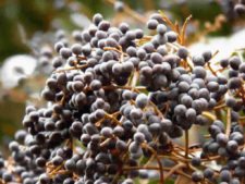 50º Torneo Abierto Jockey Club de Rosario (día 3)