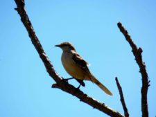 50º Torneo Abierto Jockey Club de Rosario (día 4)