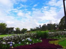 68º Avianca Colombia Open, 3er día