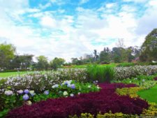 68º Avianca Colombia Open, 3er día