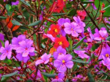 68º Avianca Colombia Open, 3er día