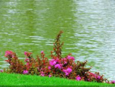 68º Avianca Colombia Open, 3er día