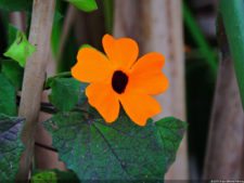 68º Avianca Colombia Open, 3er día