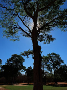 A la sombra del Ávila