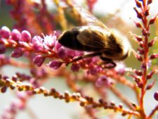 Cancha de Nordelta brilló en ProAm 108º Visa Open de Argentina