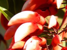 Cancha de Nordelta brilló en ProAm 108º Visa Open de Argentina