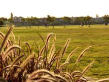 Cancha de Nordelta brilló en ProAm 108º Visa Open de Argentina