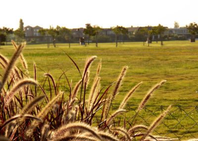 Cancha de Nordelta brilló en ProAm 108º Visa Open de Argentina