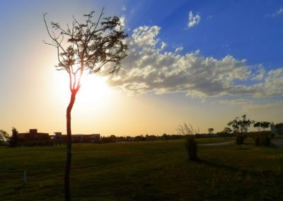 Cancha de Nordelta brilló en ProAm 108º Visa Open de Argentina