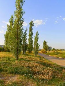 Cancha de Nordelta brilló en ProAm 108º Visa Open de Argentina