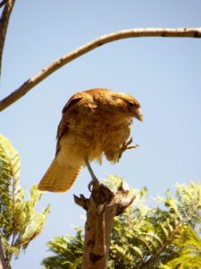 Cancha de Nordelta brilló en ProAm 108º Visa Open de Argentina