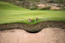 Cancha del Golf Olímpico recibe certificado ambiental (cortesía golfdigest.com)