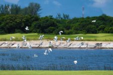 Cancha del Golf Olímpico recibe certificado ambiental (cortesía archysport.com)