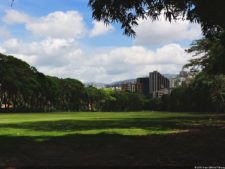 Clasificatorio Copa Los Andes 2016, selección domingo
