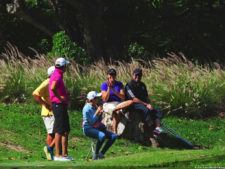 Clasificatorio Copa Los Andes 2016, selección domingo