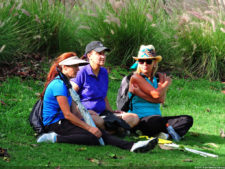 Clasificatorio Copa Los Andes 2016, selección domingo