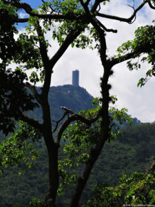 Clasificatorio Copa Los Andes 2016, selección sábado