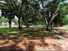 Clasificatorio Copa Los Andes 2016, selección sábado