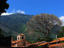 Clasificatorio Copa Los Andes 2016, selección sábado