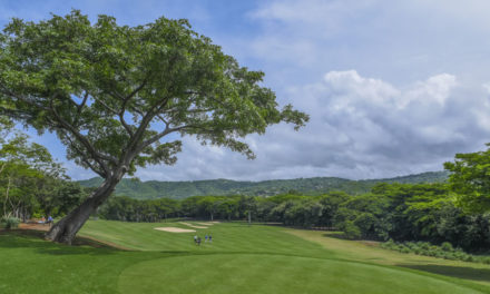 Con el Flor de Caña Open se reinicia el PGA TOUR Latinoamérica