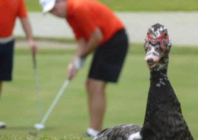 Galerías de Torneos Fairway-Panamá