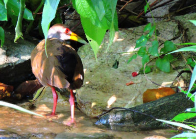 El Parque de Izcaragua