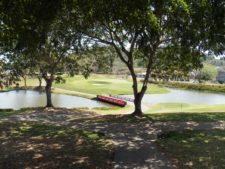 Fauna Viviente y Reluciente