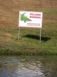 Fauna Viviente y Reluciente