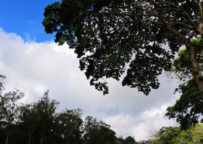 LXII Campeonato Nacional Amateur de Damas de Venezuela